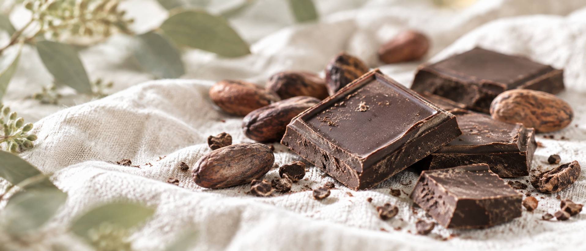 Gros plan de carrés de chocolat noir et de fèves de cacao